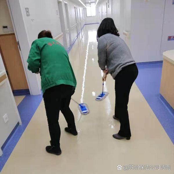 日常保洁服务主要针对家庭、办公场所、商铺等,包括地面除尘拖洗、玻璃擦拭