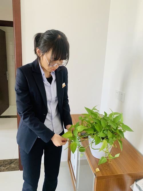 深圳新房开荒保洁哪家好|专业入住清洁选深圳市清新家园清洁服务有限公司
